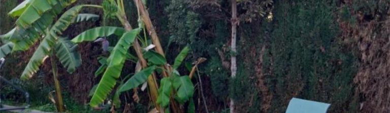 Villa in Costa Blanca South, Denia