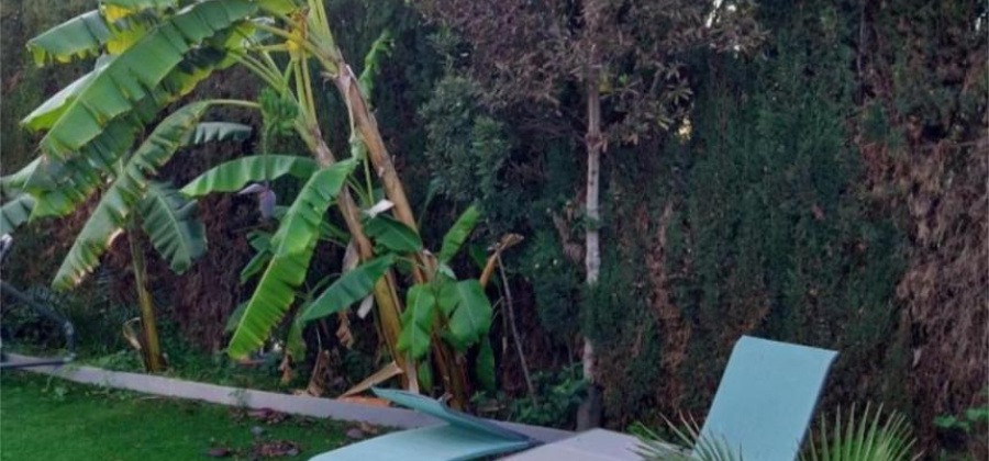 Denia, Alicante, 2 Bedrooms Bedrooms, ,1 BathroomBathrooms,Villa,Resale,0,75632223650077120