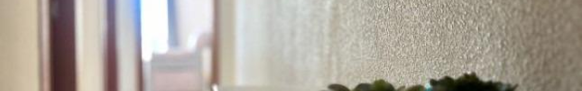 Torrevieja, Alicante, 3 Bedrooms Bedrooms, ,2 BathroomsBathrooms,Apartment,Resale,0,75632276607091616