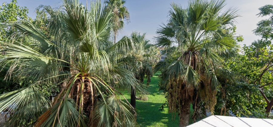 Orihuela Costa, Alicante, 2 Bedrooms Bedrooms, ,1 BathroomBathrooms,Apartment,Resale,0,75632144207611504 Orihuela Costa, Alicante, 2 Bedrooms Bedrooms, ,1 BathroomBathrooms,Apartment,Resale,0,75632144207611504