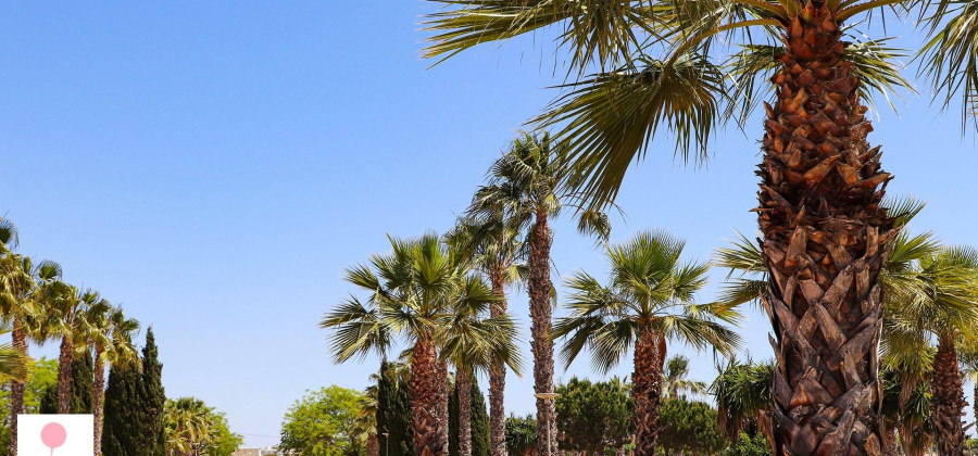 San Fulgencio, Alicante, 4 Bedrooms Bedrooms, ,3 BathroomsBathrooms,Villa,New,0,209559178665067648