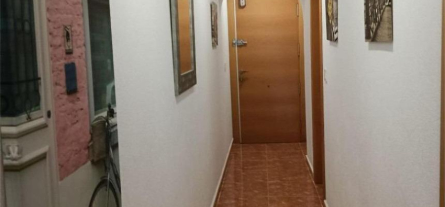 Guardamar del Segura, Alicante, 1 Bedroom Bedrooms, ,1 BathroomBathrooms,Apartment,Resale,0,75632233699755376