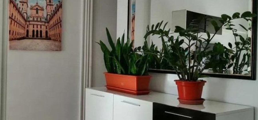 Alicante, Alicante, 4 Bedrooms Bedrooms, ,1 BathroomBathrooms,Apartment,Resale,0,75632138833741696