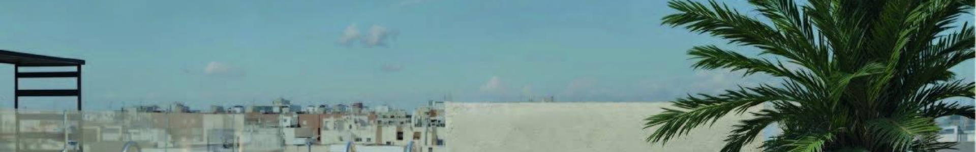 Torrevieja, Alicante, 1 Bedroom Bedrooms, ,1 BathroomBathrooms,Apartment,New,0,209559104511994688