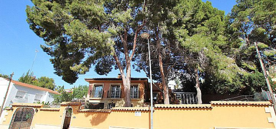 Torrevieja, Alicante, 5 Bedrooms Bedrooms, ,2 BathroomsBathrooms,Villa,Resale,0,32821674659694800