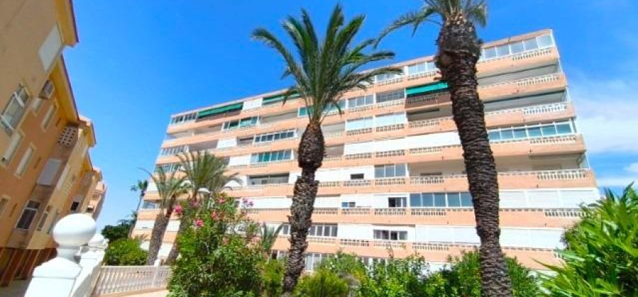 Torrevieja, Alicante, 2 Bedrooms Bedrooms, ,1 BathroomBathrooms,Apartment,Resale,0,75632216366732128