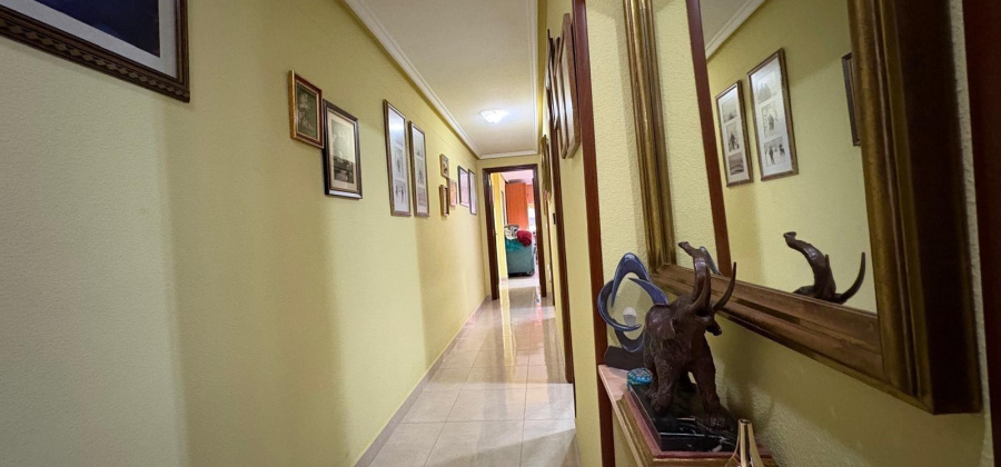 Torrevieja, Alicante, 2 Bedrooms Bedrooms, ,1 BathroomBathrooms,Apartment,Resale,0,75632284280579264