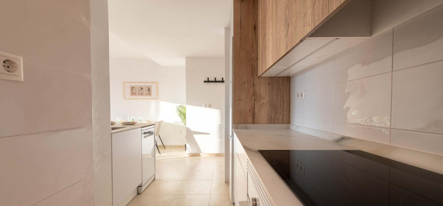 Avileses, Murcia, 1 Bedroom Bedrooms, ,1 BathroomBathrooms,Apartment,New,0,209559152086566464