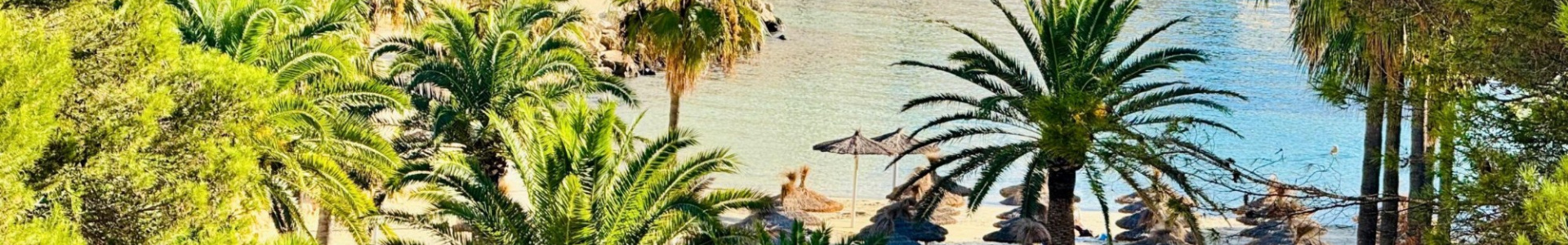 Apartment in MALLORCA, CALA VINYES