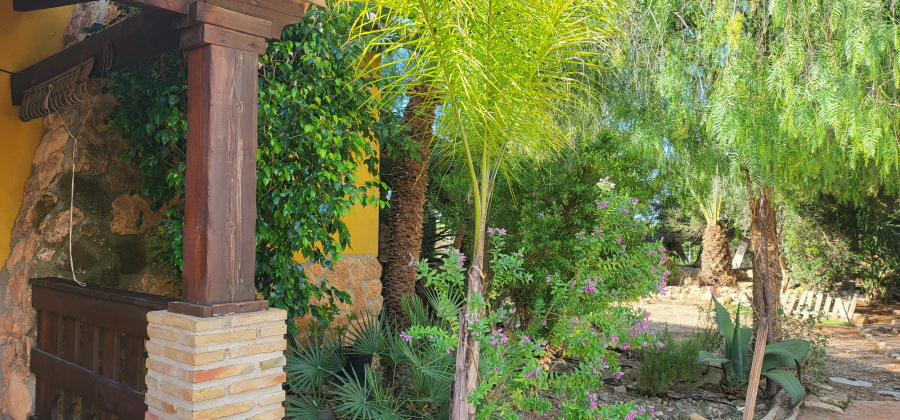 Sangonera la Seca, Murcia, 3 Bedrooms Bedrooms, ,2 BathroomsBathrooms,Country House or Finca,Resale,0,944360