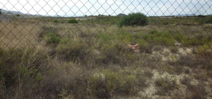 Orihuela, Alicante, ,Country House or Finca,Resale,0,75632156235119184