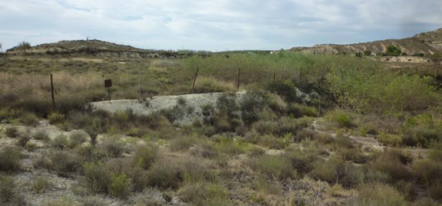 Orihuela, Alicante, ,Country House or Finca,Resale,0,75632156235119184