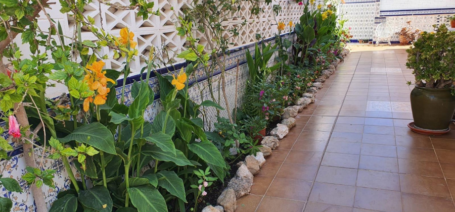 Torrevieja, Alicante, 3 Bedrooms Bedrooms, ,2 BathroomsBathrooms,Bungalow,Resale,0,75632215320872112