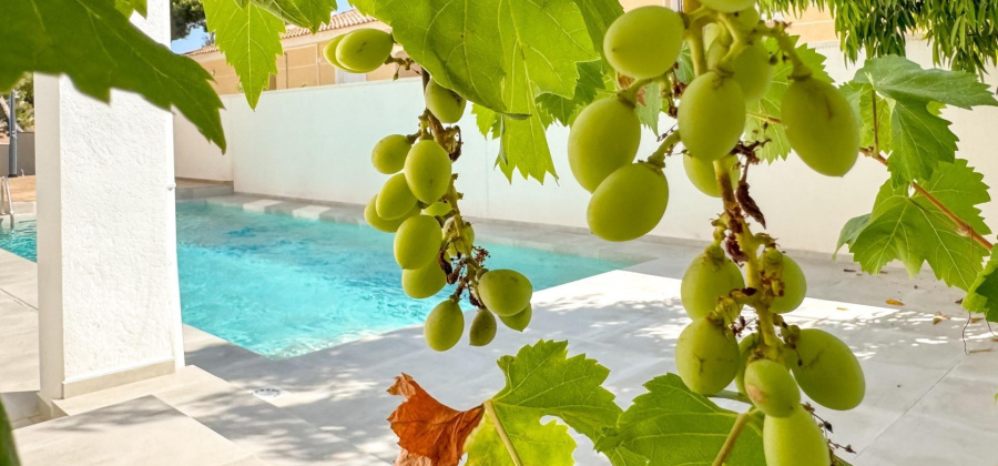 Torrevieja, Alicante, 4 Bedrooms Bedrooms, ,5 BathroomsBathrooms,Villa,Resale,0,75632143705397680