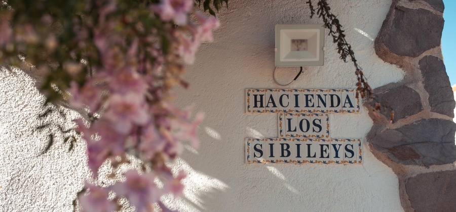 Lorca, Murcia, 7 Bedrooms Bedrooms, ,8 BathroomsBathrooms,Villa,Resale,0,103536206547419728