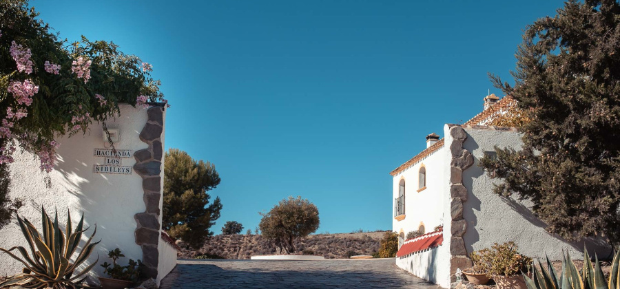 Lorca, Murcia, 7 Bedrooms Bedrooms, ,8 BathroomsBathrooms,Villa,Resale,0,103536206547419728