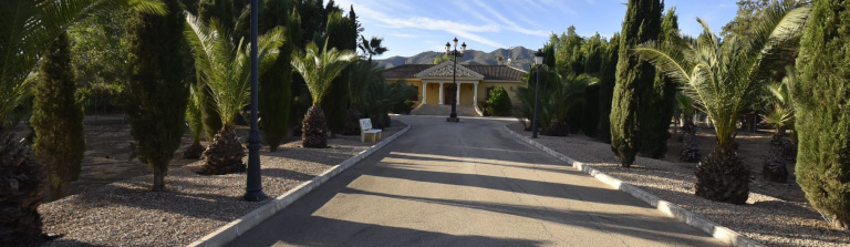 LA MATANZA, ALICANTE / COSTA BLANCA, 6 Bedrooms Bedrooms, ,4 BathroomsBathrooms,Villa,Resale,0,103536237722163648