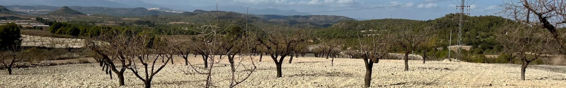 Bullas, MURCIA / COSTA C&Atilde;LIDA, ,Plot Of Land,Resale,0,103536211802278000