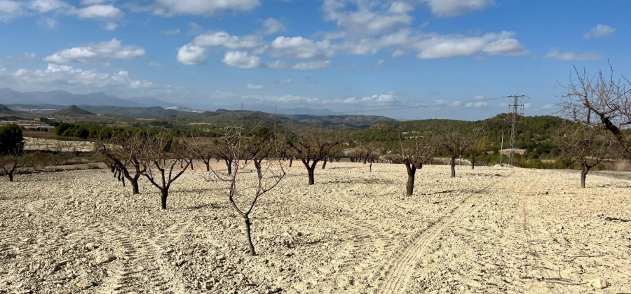 Bullas, MURCIA / COSTA C&Atilde;LIDA, ,Plot Of Land,Resale,0,103536211802278000