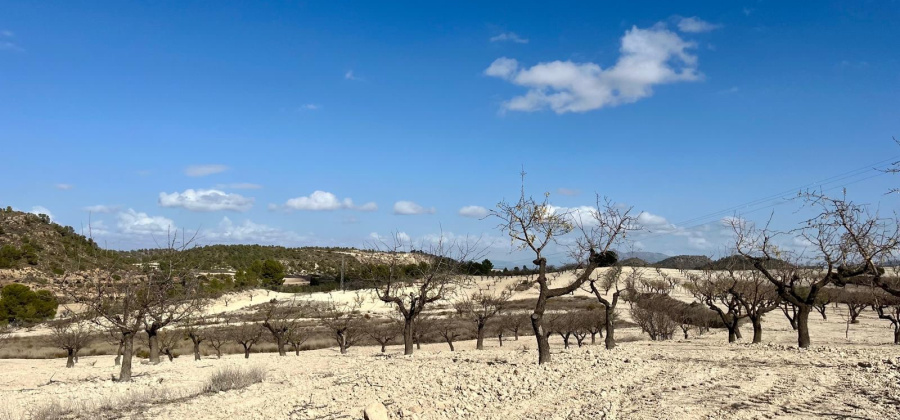 Bullas, MURCIA / COSTA C&Atilde;LIDA, ,Plot Of Land,Resale,0,103536211802278000