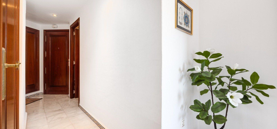 Torrevieja, Alicante, 2 Bedrooms Bedrooms, ,2 BathroomsBathrooms,Apartment,Resale,0,7563291544384898