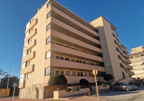 Torrevieja, Alicante, 1 Bedroom Bedrooms, ,1 BathroomBathrooms,Apartment,Resale,0,7563278007098247