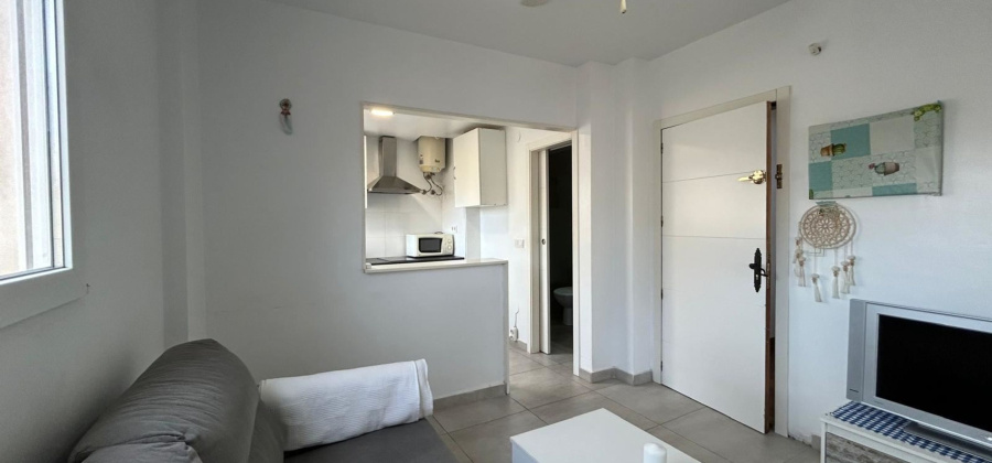 San Miguel de Salinas, Alicante, ,1 BathroomBathrooms,Apartment,Resale,0,20610469544170456