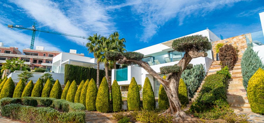 Orihuela, Alicante, 4 Bedrooms Bedrooms, ,2 BathroomsBathrooms,Apartment,Resale,0,206104237147506368