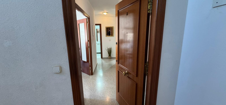 San Miguel de Salinas, Alicante, 3 Bedrooms Bedrooms, ,2 BathroomsBathrooms,Apartment,Resale,0,206104172997593472