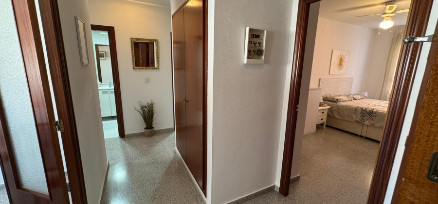 San Miguel de Salinas, Alicante, 3 Bedrooms Bedrooms, ,2 BathroomsBathrooms,Apartment,Resale,0,206104172997593472