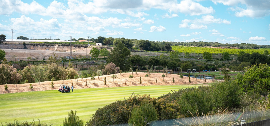 Pilar de la Horadada, Alicante, 2 Bedrooms Bedrooms, ,3 BathroomsBathrooms,Apartment,Resale,0,103536281170905472