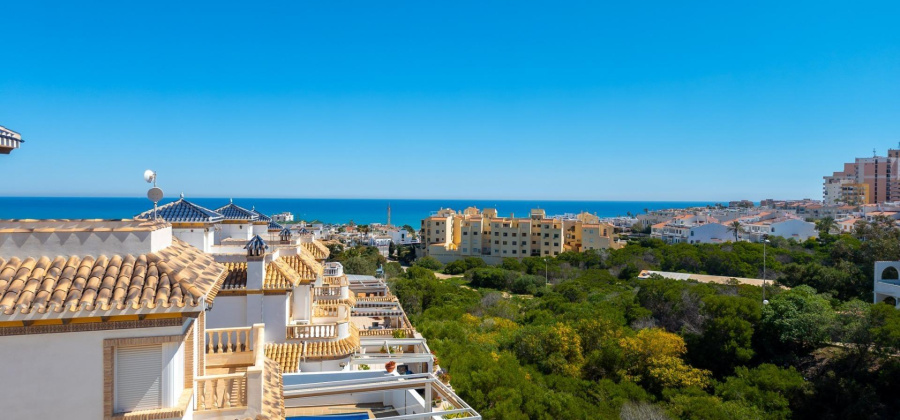 Torrevieja, Alicante, 3 Bedrooms Bedrooms, ,2 BathroomsBathrooms,Villa,Resale,0,75632277152363936