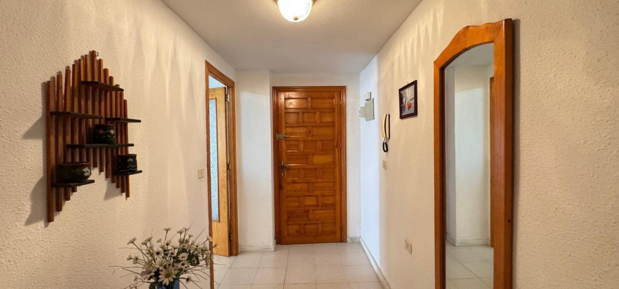 Torrevieja, Alicante, 2 Bedrooms Bedrooms, ,1 BathroomBathrooms,Apartment,Resale,0,75632105615672416