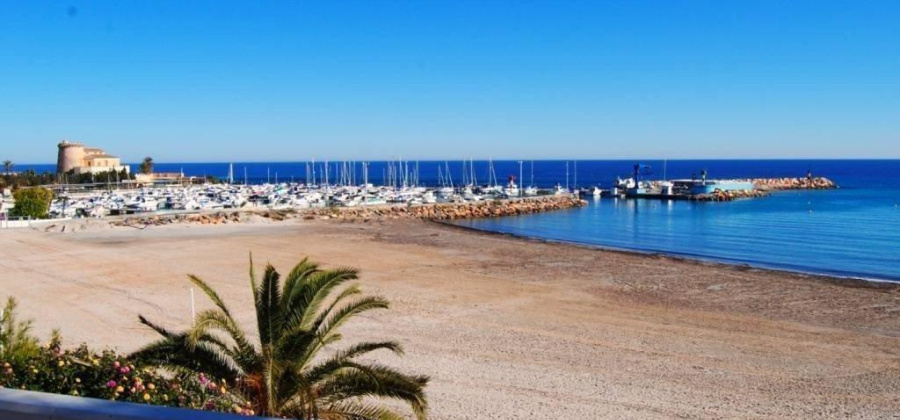 Pilar de la Horadada, Alicante, 3 Bedrooms Bedrooms, ,2 BathroomsBathrooms,Villa,New,0,209559580735318432