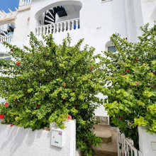 San Miguel de Salinas, Alicante, 1 Bedroom Bedrooms, ,1 BathroomBathrooms,Apartment,Resale,0,65945245171865808