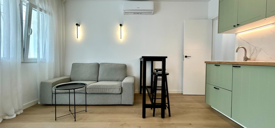 San Miguel de Salinas, Alicante, 1 Bedroom Bedrooms, ,1 BathroomBathrooms,Apartment,Resale,0,65945245171865808