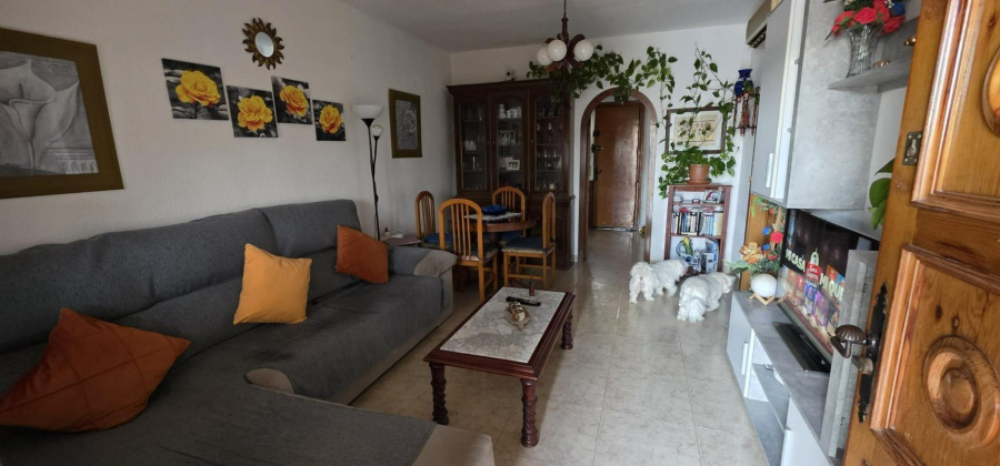 Torrevieja, Alicante, 4 Bedrooms Bedrooms, ,2 BathroomsBathrooms,Townhouse,Resale,0,7563287012197797