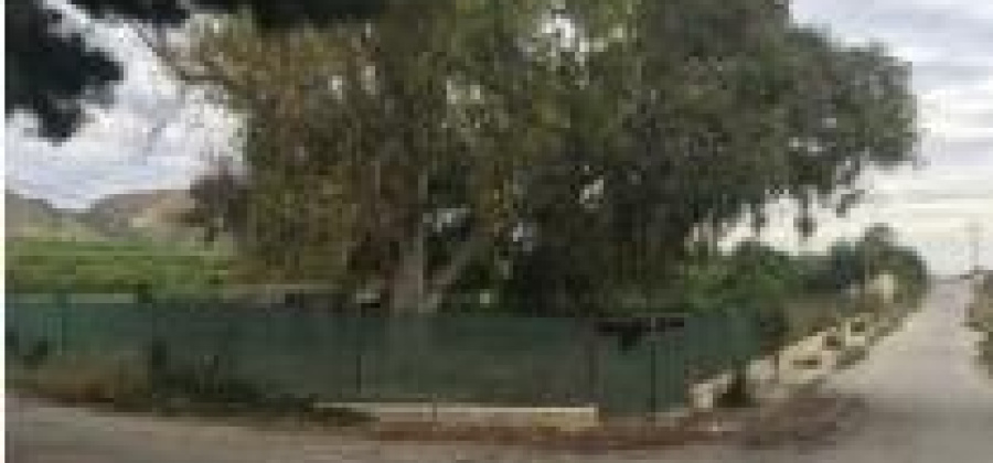 Jacarilla, Alicante, 3 Bedrooms Bedrooms, ,3 BathroomsBathrooms,Country House or Finca,Resale,0,75632141894451888