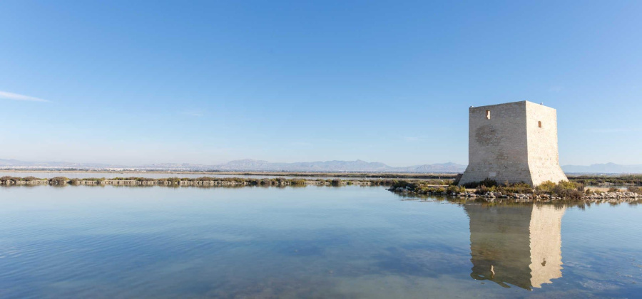 Santa Pola, Alicante, 3 Bedrooms Bedrooms, ,3 BathroomsBathrooms,Apartment,New,0,20955979512898212