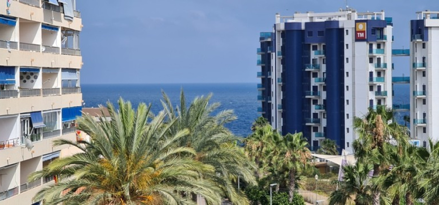 ORIHUELA COSTA, Alicante, 1 Bedroom Bedrooms, ,1 BathroomBathrooms,Apartment,Resale,0,103536315248199808