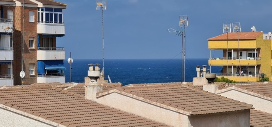 ORIHUELA COSTA, Alicante, 1 Bedroom Bedrooms, ,1 BathroomBathrooms,Apartment,Resale,0,103536315248199808