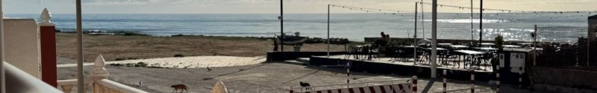 Apartment in Costa Blanca South, La Mata