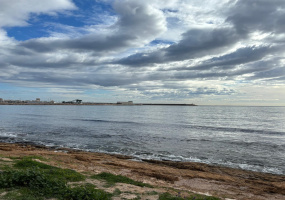 Torrevieja, Alicante, 2 Bedrooms Bedrooms, ,1 BathroomBathrooms,Apartment,Resale,0,75632142579238816 Torrevieja, Alicante, 2 Bedrooms Bedrooms, ,1 BathroomBathrooms,Apartment,Resale,0,75632142579238816