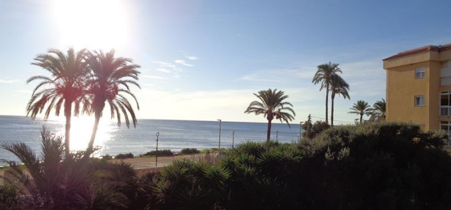 Torrevieja, Alicante, 4 Bedrooms Bedrooms, ,3 BathroomsBathrooms,Villa,Resale,0,75632160298464192