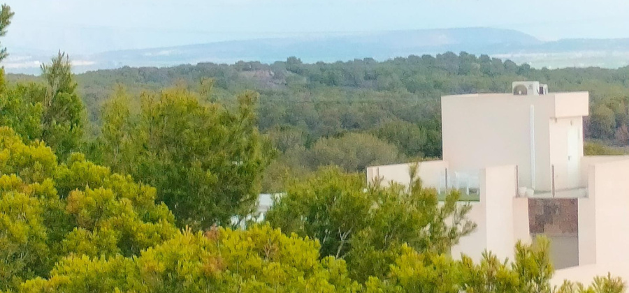 Orihuela Costa, Alicante, 3 Bedrooms Bedrooms, ,2 BathroomsBathrooms,Townhouse,New,0,20955995338152648