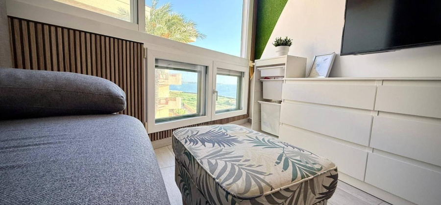 Pilar de la Horadada, Alicante, ,1 BathroomBathrooms,Apartment,Resale,0,7563288131816052