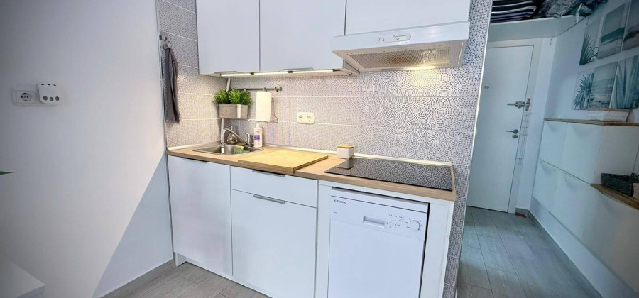 Pilar de la Horadada, Alicante, ,1 BathroomBathrooms,Apartment,Resale,0,7563288131816052