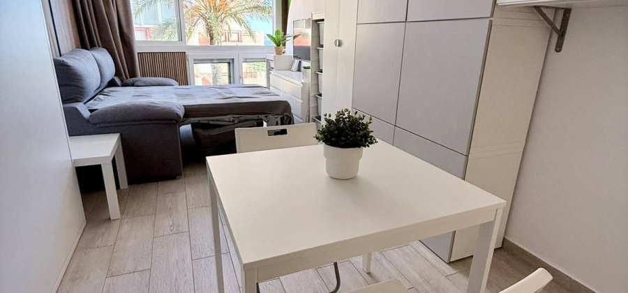 Pilar de la Horadada, Alicante, ,1 BathroomBathrooms,Apartment,Resale,0,7563288131816052