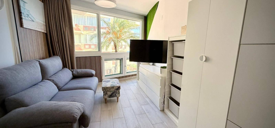 Pilar de la Horadada, Alicante, ,1 BathroomBathrooms,Apartment,Resale,0,7563288131816052