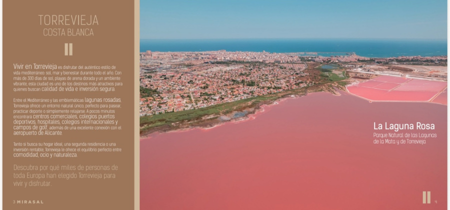 Los Altos, Alicante, 3 Bedrooms Bedrooms, ,2 BathroomsBathrooms,Townhouse,New,0,90690207929443200